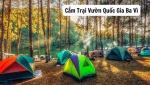 Cắm Trại Vườn Quốc Gia Ba Vì: Lựa Chọn Hoàn Hảo Cho Cuối Tuần